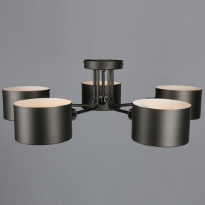 Люстра на штанге Omnilux Lisera OML-54507-05 в Кунгуре - kungur.mebel24.online | фото 5