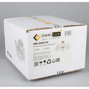 Люстра на штанге Omnilux Rapallo OML-65007-05 в Кунгуре - kungur.mebel24.online | фото 5