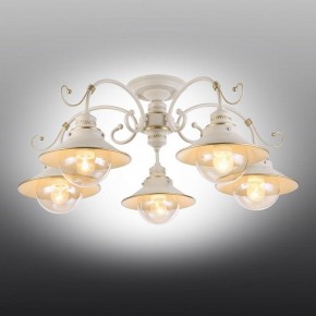 Люстра на штанге Omnilux Torri OML-50807-05 в Кунгуре - kungur.mebel24.online | фото 2