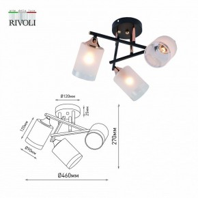 Люстра на штанге Rivoli Fiona Б0059259 в Кунгуре - kungur.mebel24.online | фото
