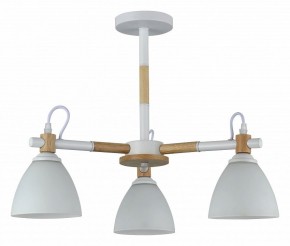Люстра на штанге Rivoli Louise Б0060982 в Кунгуре - kungur.mebel24.online | фото