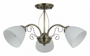 Люстра на штанге Rivoli Sue Б0060985 в Кунгуре - kungur.mebel24.online | фото