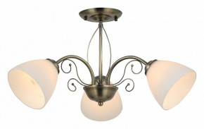 Люстра на штанге Rivoli Sue Б0060985 в Кунгуре - kungur.mebel24.online | фото 2