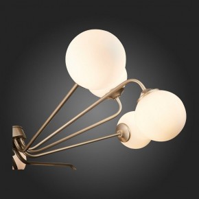 Люстра на штанге ST-Luce Redjino SLE106203-12 в Кунгуре - kungur.mebel24.online | фото 7
