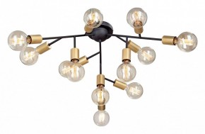 Люстра на штанге Vitaluce 4959 V4959-1/12PL в Кунгуре - kungur.mebel24.online | фото