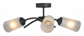 Люстра на штанге Vitaluce V2850 V2850-1/3PL в Кунгуре - kungur.mebel24.online | фото