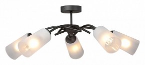Люстра на штанге Vitaluce V2850 V2850-1/5PL в Кунгуре - kungur.mebel24.online | фото