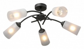 Люстра на штанге Vitaluce V2850 V2850-1/5PL в Кунгуре - kungur.mebel24.online | фото 2