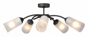 Люстра на штанге Vitaluce V2850 V2850-1/5PL в Кунгуре - kungur.mebel24.online | фото 3