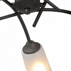 Люстра на штанге Vitaluce V2850 V2850-1/5PL в Кунгуре - kungur.mebel24.online | фото 6