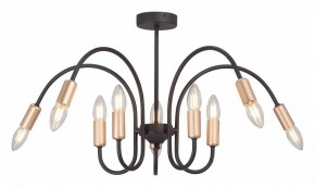 Люстра на штанге Vitaluce V3026 V3026-1/10PL в Кунгуре - kungur.mebel24.online | фото 2