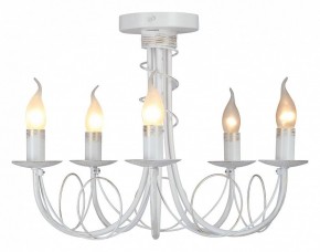 Люстра на штанге Vitaluce V3035 V3035-0/5PL в Кунгуре - kungur.mebel24.online | фото 2