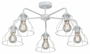 Люстра на штанге Vitaluce V3102 V3102-0/5PL в Кунгуре - kungur.mebel24.online | фото
