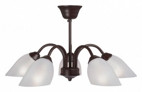 Люстра на штанге Vitaluce V3335 V3335-7/5PL в Кунгуре - kungur.mebel24.online | фото