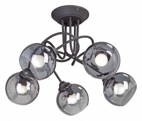 Люстра на штанге Vitaluce  V4309-1/5PL в Кунгуре - kungur.mebel24.online | фото
