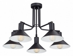 Люстра на штанге Vitaluce V4809 V4809-1/5PL в Кунгуре - kungur.mebel24.online | фото