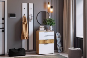 МЕБЕЛЬСОН К21 Прихожая в Кунгуре - kungur.mebel24.online | фото