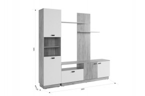 МОДИ К1 Гостиная (белое дерево) в Кунгуре - kungur.mebel24.online | фото 2