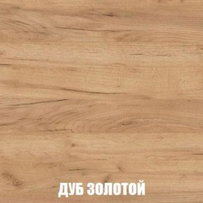 МСП-1 Шкаф 2-х створчатый (Дуб Золотой/Камень темный) в Кунгуре - kungur.mebel24.online | фото 4