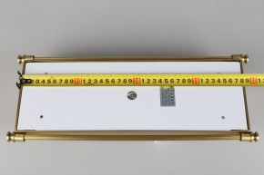 Накладной светильник Aployt Zoe APL.806.01.02 в Кунгуре - kungur.mebel24.online | фото 9