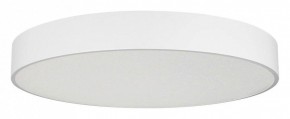 Накладной светильник Arlight TOR PILL 022132(4) в Кунгуре - kungur.mebel24.online | фото