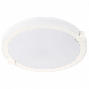 Накладной светильник Arte Lamp Biscotti A2679PL-72WH в Кунгуре - kungur.mebel24.online | фото
