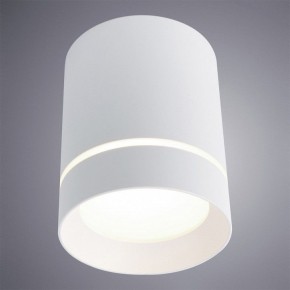 Накладной светильник Arte Lamp Elle A1949PL-1WH в Кунгуре - kungur.mebel24.online | фото 2
