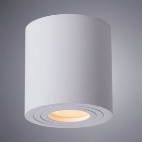 Накладной светильник Arte Lamp Galopin A1460PL-1WH в Кунгуре - kungur.mebel24.online | фото 2