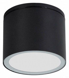 Накладной светильник Arte Lamp Piautos A1913PF-1BK в Кунгуре - kungur.mebel24.online | фото