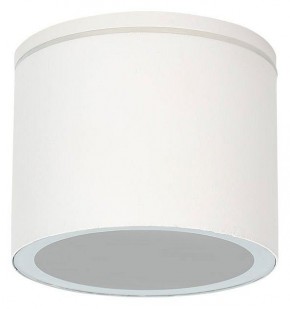 Накладной светильник Arte Lamp Piautos A1913PF-1WH в Кунгуре - kungur.mebel24.online | фото
