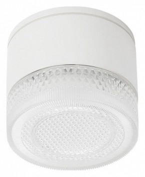 Накладной светильник Arte Lamp Piautos A1926PF-1WH в Кунгуре - kungur.mebel24.online | фото