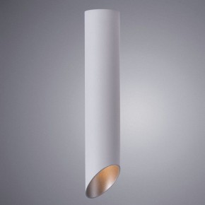 Накладной светильник Arte Lamp Pilon-Silver A1536PL-1WH в Кунгуре - kungur.mebel24.online | фото