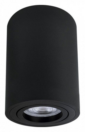 Накладной светильник Arte Lamp Sentry A1566PL-1BK в Кунгуре - kungur.mebel24.online | фото