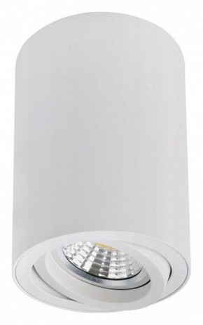 Накладной светильник Arte Lamp Sentry A1566PL-1WH в Кунгуре - kungur.mebel24.online | фото