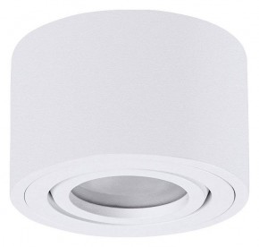 Накладной светильник Arte Lamp Unito A0550PL-1WH в Кунгуре - kungur.mebel24.online | фото