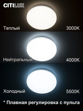 Накладной светильник Citilux Симпла CL714330G в Кунгуре - kungur.mebel24.online | фото 4