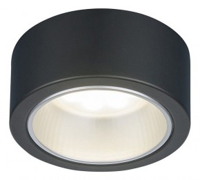 Накладной светильник Elektrostandard 1070 a035975 в Кунгуре - kungur.mebel24.online | фото