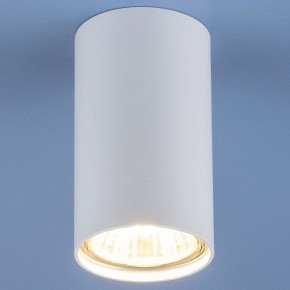 Накладной светильник Elektrostandard 1081 a037712 в Кунгуре - kungur.mebel24.online | фото