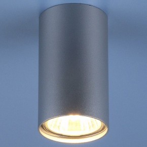 Накладной светильник Elektrostandard 1081 a037714 в Кунгуре - kungur.mebel24.online | фото