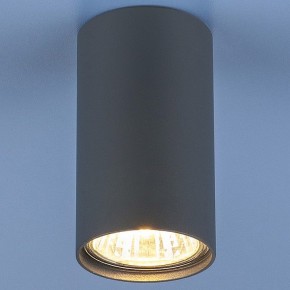 Накладной светильник Elektrostandard 1081 a038615 в Кунгуре - kungur.mebel24.online | фото