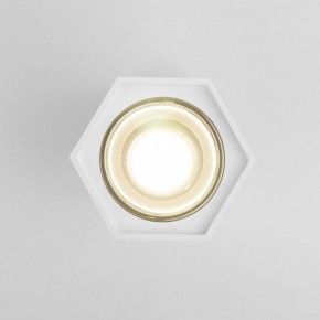 Накладной светильник Elektrostandard 25036/LED a055856 в Кунгуре - kungur.mebel24.online | фото 2