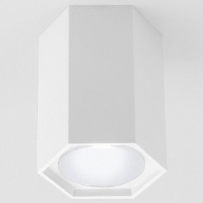 Накладной светильник Elektrostandard 25037/LED a055858 в Кунгуре - kungur.mebel24.online | фото