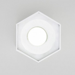 Накладной светильник Elektrostandard 25037/LED a055858 в Кунгуре - kungur.mebel24.online | фото 2