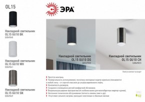 Накладной светильник Эра OL15 GU10 WH Б0049041 в Кунгуре - kungur.mebel24.online | фото 5
