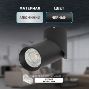 Накладной светильник Эра OL18 BK Б0054385 в Кунгуре - kungur.mebel24.online | фото 2