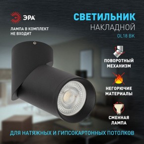 Накладной светильник Эра OL18 BK Б0054385 в Кунгуре - kungur.mebel24.online | фото 3