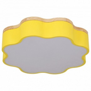 Накладной светильник Escada Floret 10208/1LED (Yellow) в Кунгуре - kungur.mebel24.online | фото