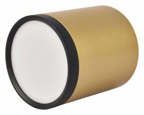 Накладной светильник Favourite Baral 3082-1C в Кунгуре - kungur.mebel24.online | фото 4