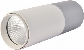 Накладной светильник Favourite Deepak 3071-1C в Кунгуре - kungur.mebel24.online | фото 4