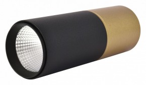 Накладной светильник Favourite Deepak 3074-1C в Кунгуре - kungur.mebel24.online | фото 3